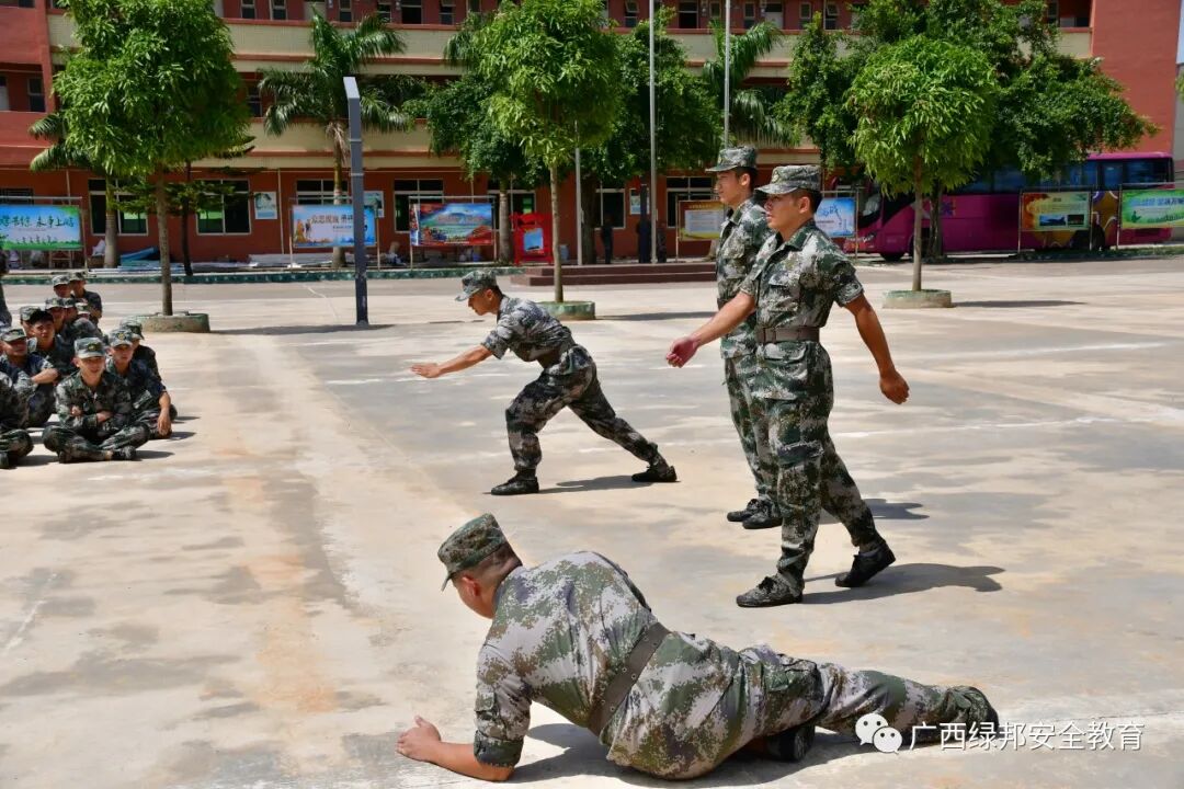 关于北美代表队士气高昂，多数项目获得好成绩的信息