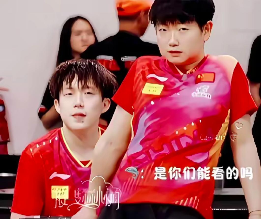 瑞典乒乓球队轻取日本乒乓球队，许昕爆发神勇的简单介绍