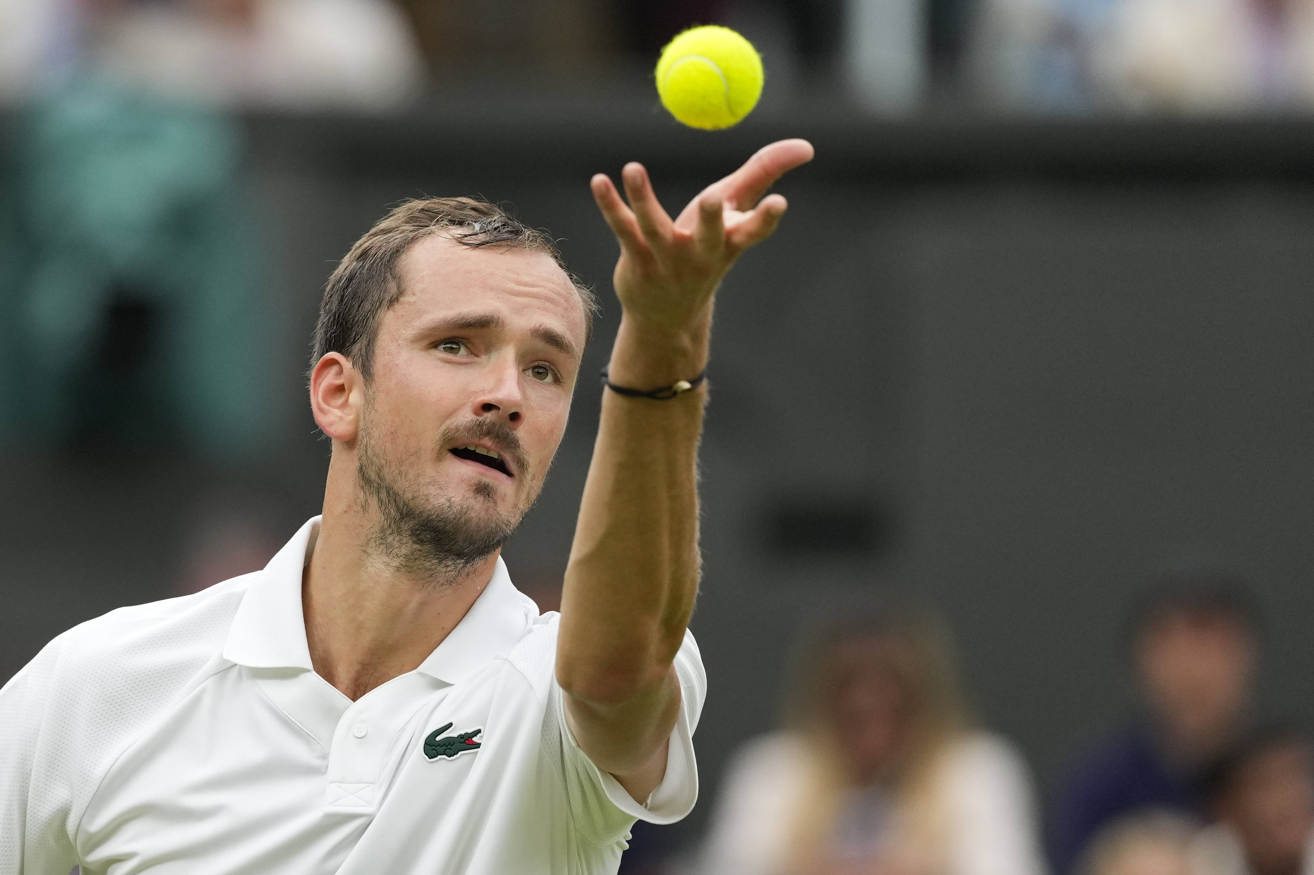 包含西班牙网球队强势德国网球队，梅德韦杰夫完成帽子戏法的词条