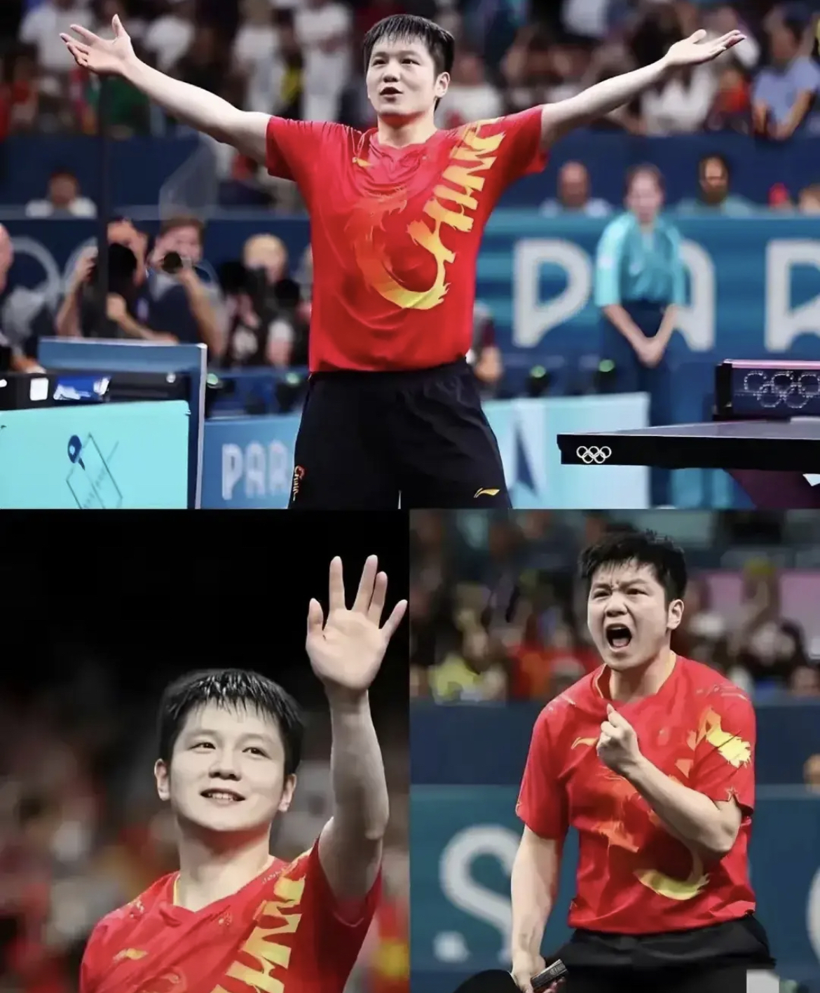 英格兰队力克韩国队,樊振东点燃赛场 英格兰队力克韩国队,樊振东点燃赛场