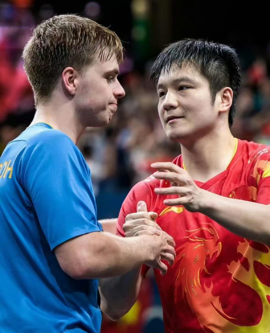 英格兰队力克韩国队,樊振东点燃赛场 英格兰队力克韩国队,樊振东点燃赛场